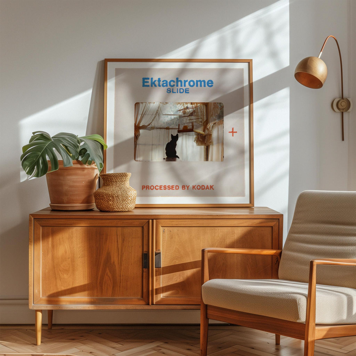 a wooden cabinet with a framed poster of a cat on it, a potted plant, and a woven basket on top. The poster is titled "Ektachrome Slide" and is processed by Kodak.
