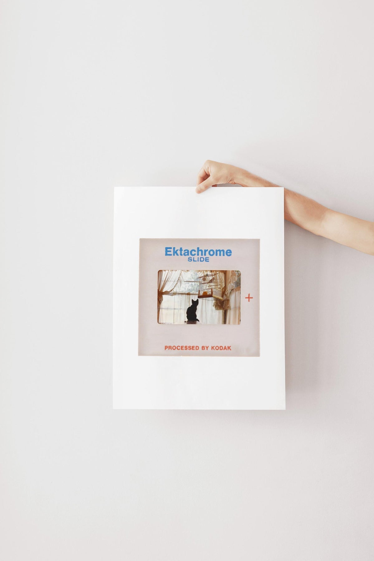 A person's hand is holding a white poster with a photograph and text on it.
