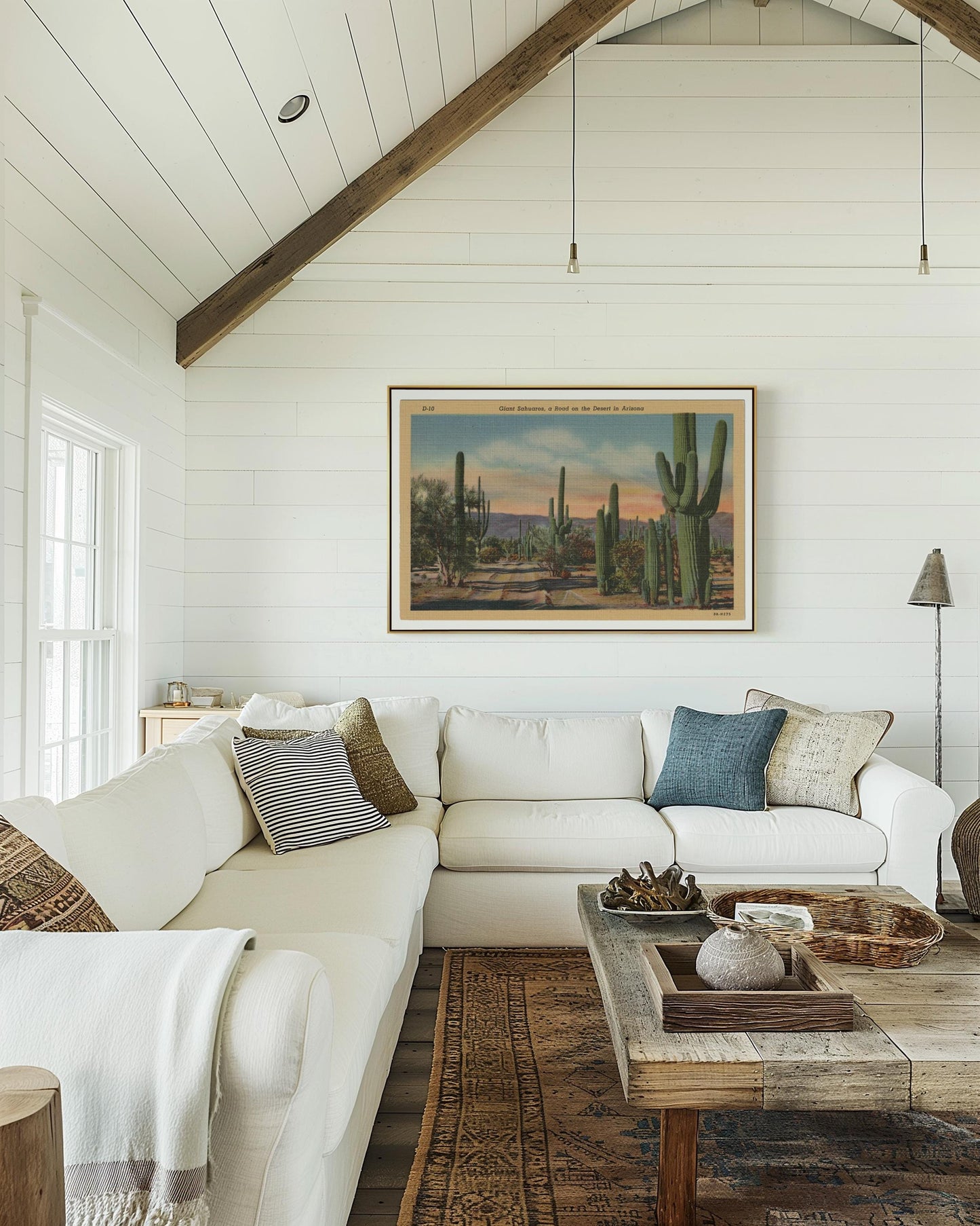 Desert Cactus Landscape Vintage Postcard : Canvas Print