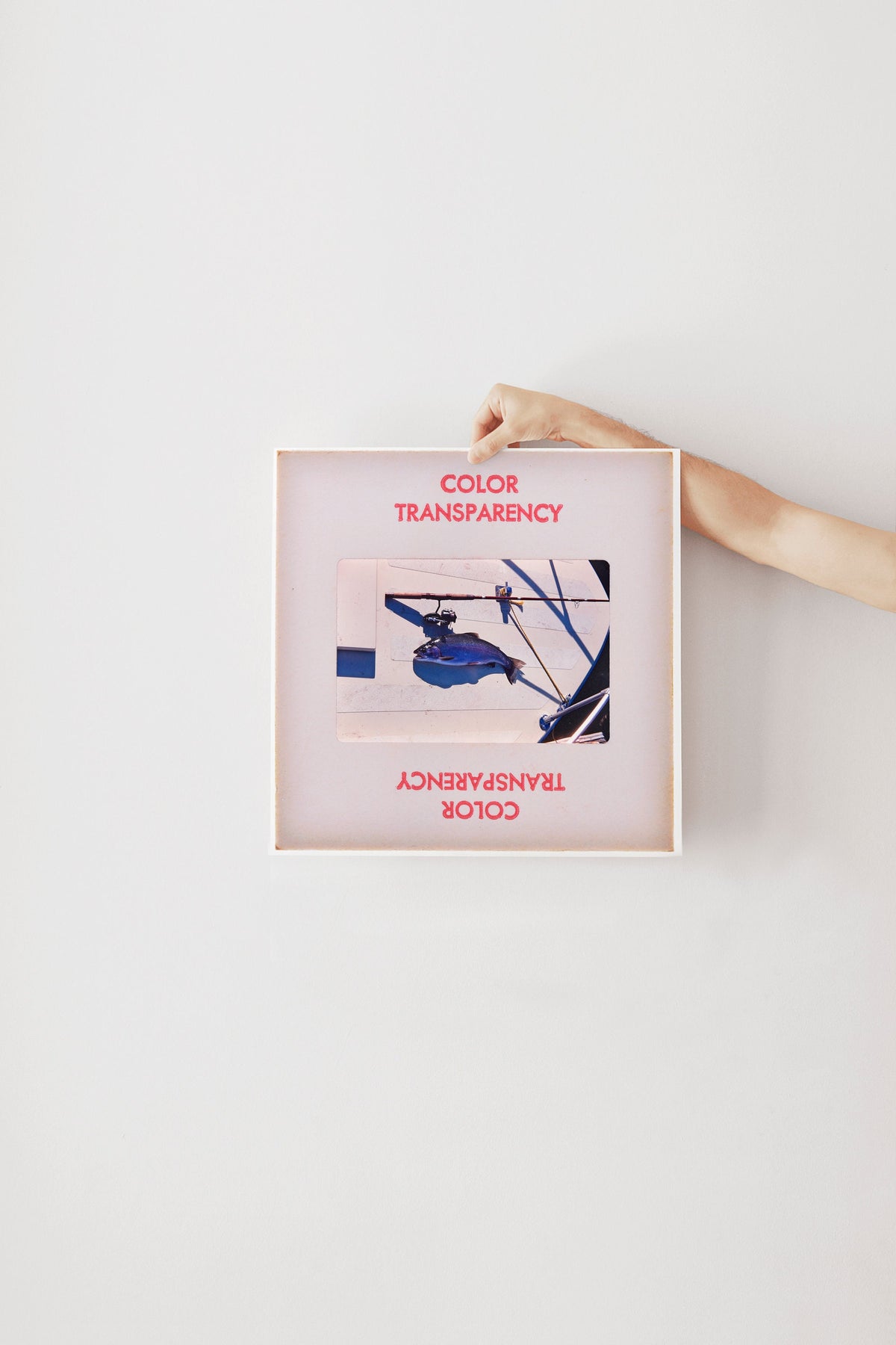A person's hand is holding a framed photograph with the text "COLOR TRANSPARENCY" and "COLOR" visible on the frame.