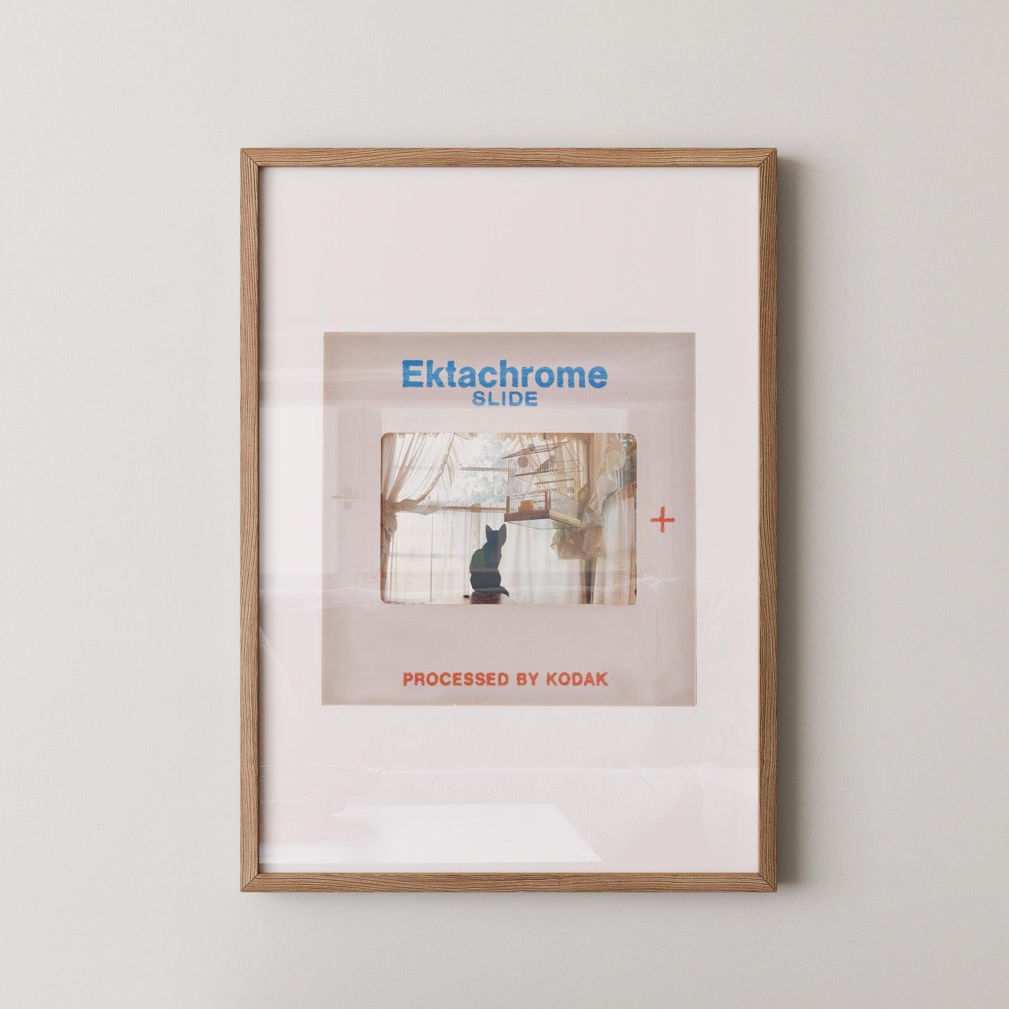 The image is a framed poster or artwork featuring a cat sitting on a windowsill, with the text "Ektachrome Slide" and "PROCESSED BY KODAK" printed on it.