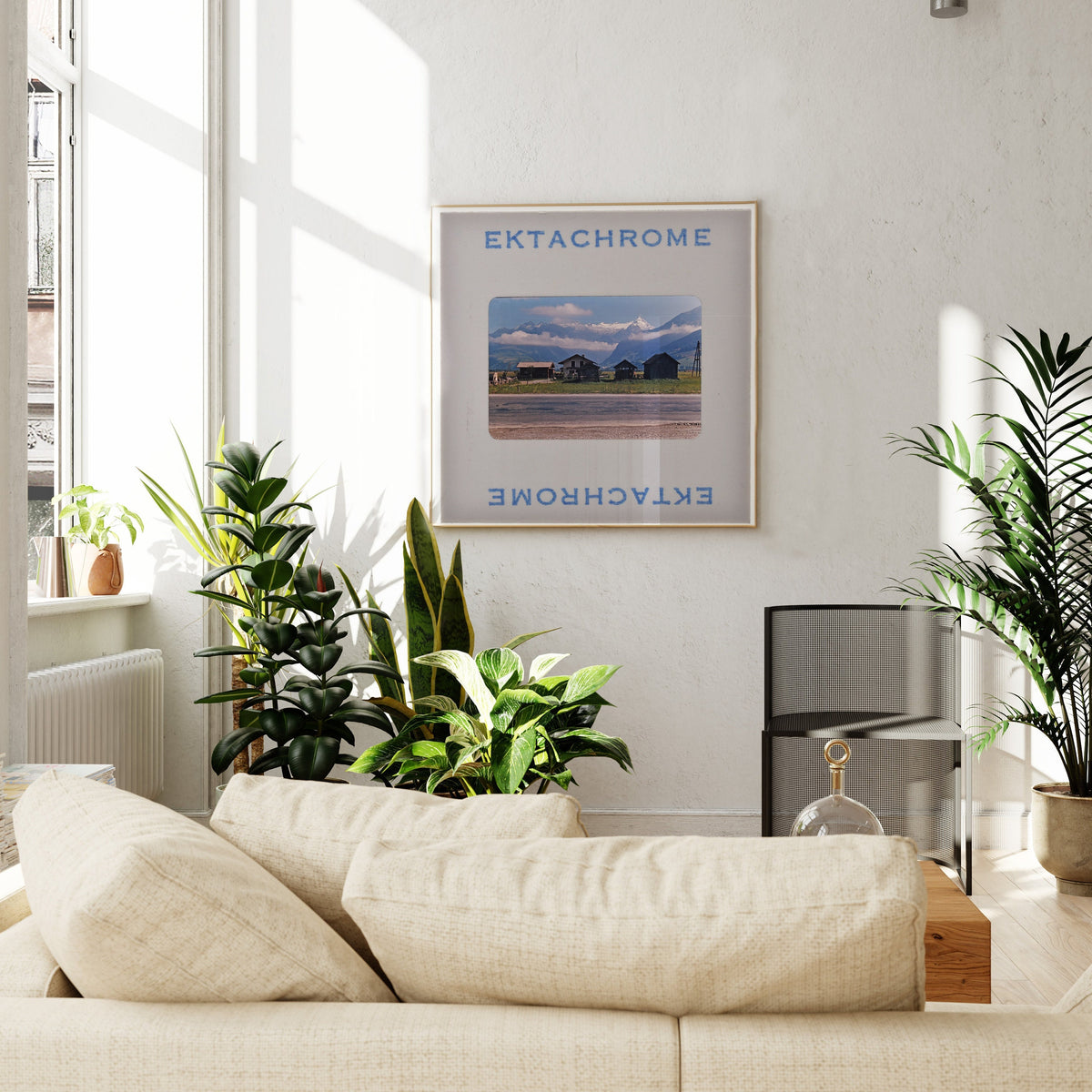 a cozy living room with a beige sofa, a framed poster of a scenic landscape, and several potted plants.
