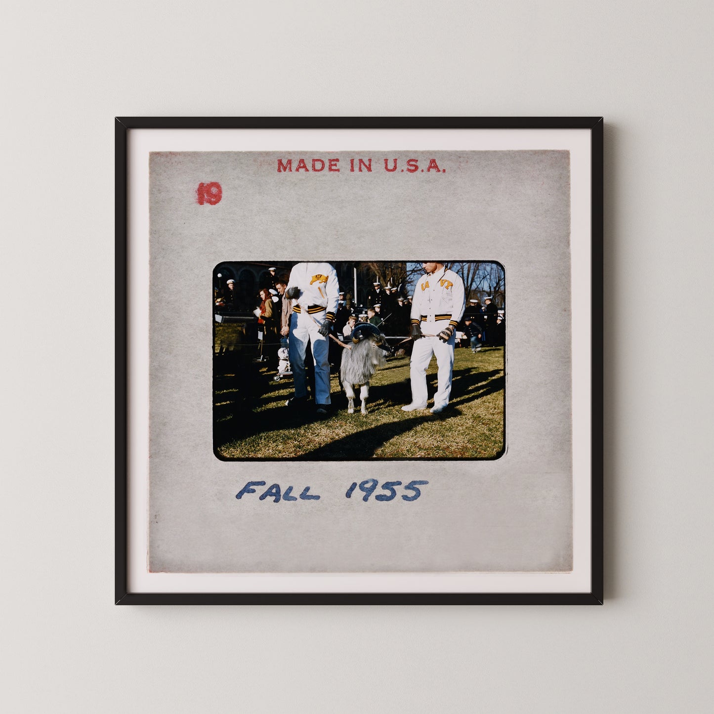 The image is a framed photograph of two people standing next to a small animal, possibly a goat or a sheep, in an outdoor setting. The photograph is dated "FALL 1955" and appears to be a collage of multiple images.