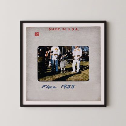 The image is a framed photograph of two people standing next to a small animal, possibly a goat or a sheep, in an outdoor setting. The photograph is dated "FALL 1955" and appears to be a collage of multiple images.