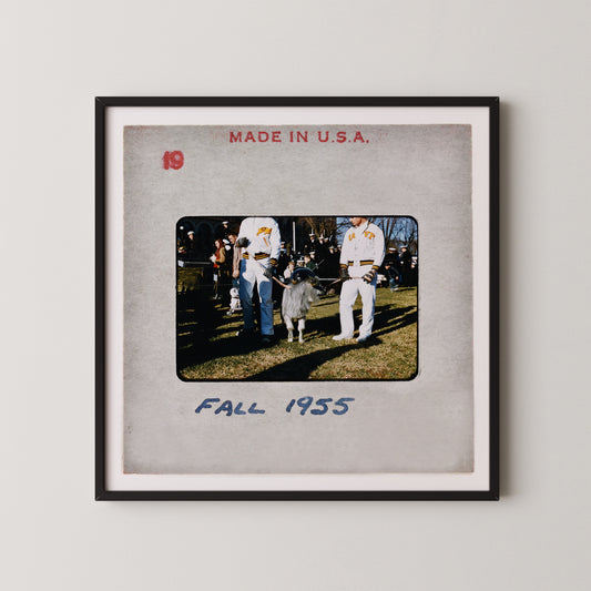 The image is a framed photograph of two people standing next to a small animal, possibly a goat or a sheep, in an outdoor setting. The photograph is dated "FALL 1955" and appears to be a collage of multiple images.
