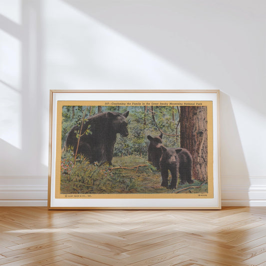 Black Bear in Woods Vintage Wildlife Postcard: Canvas Print