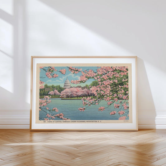 Washington Capitol Building in Cherry Blossoms Vintage Landscape Postcard : Canvas Print