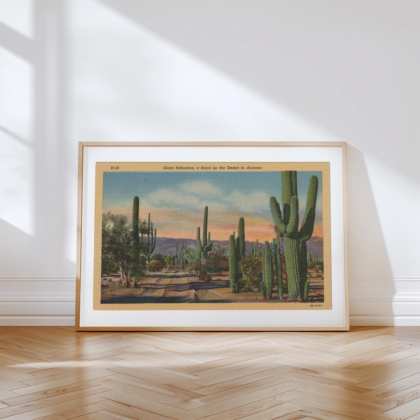Desert Cactus Landscape Vintage Postcard : Canvas Print