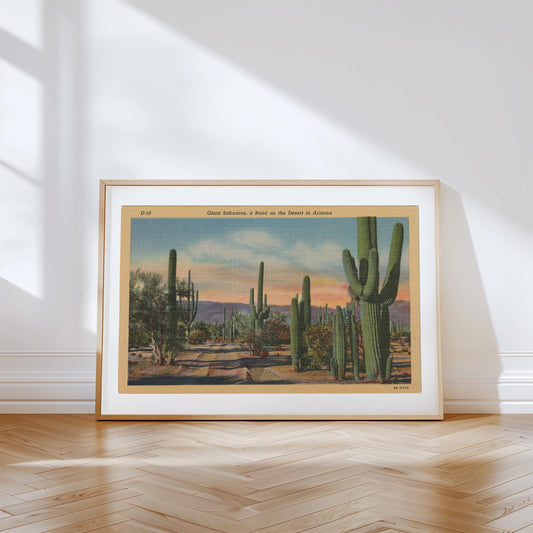 Desert Cactus Landscape Vintage Postcard : Canvas Print