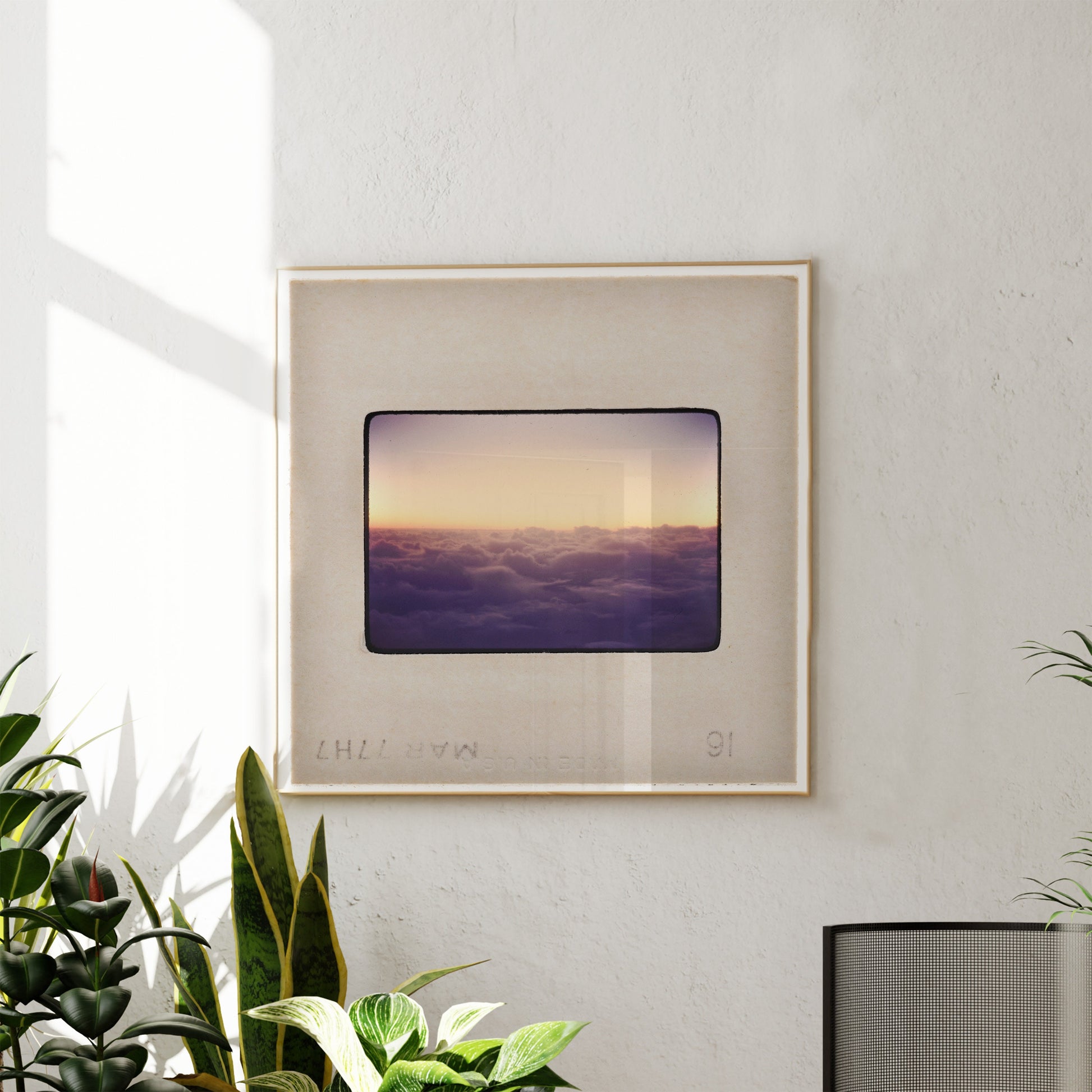 a framed photograph of a sunset over a cloudy sky, hanging on a wall next to some potted plants.