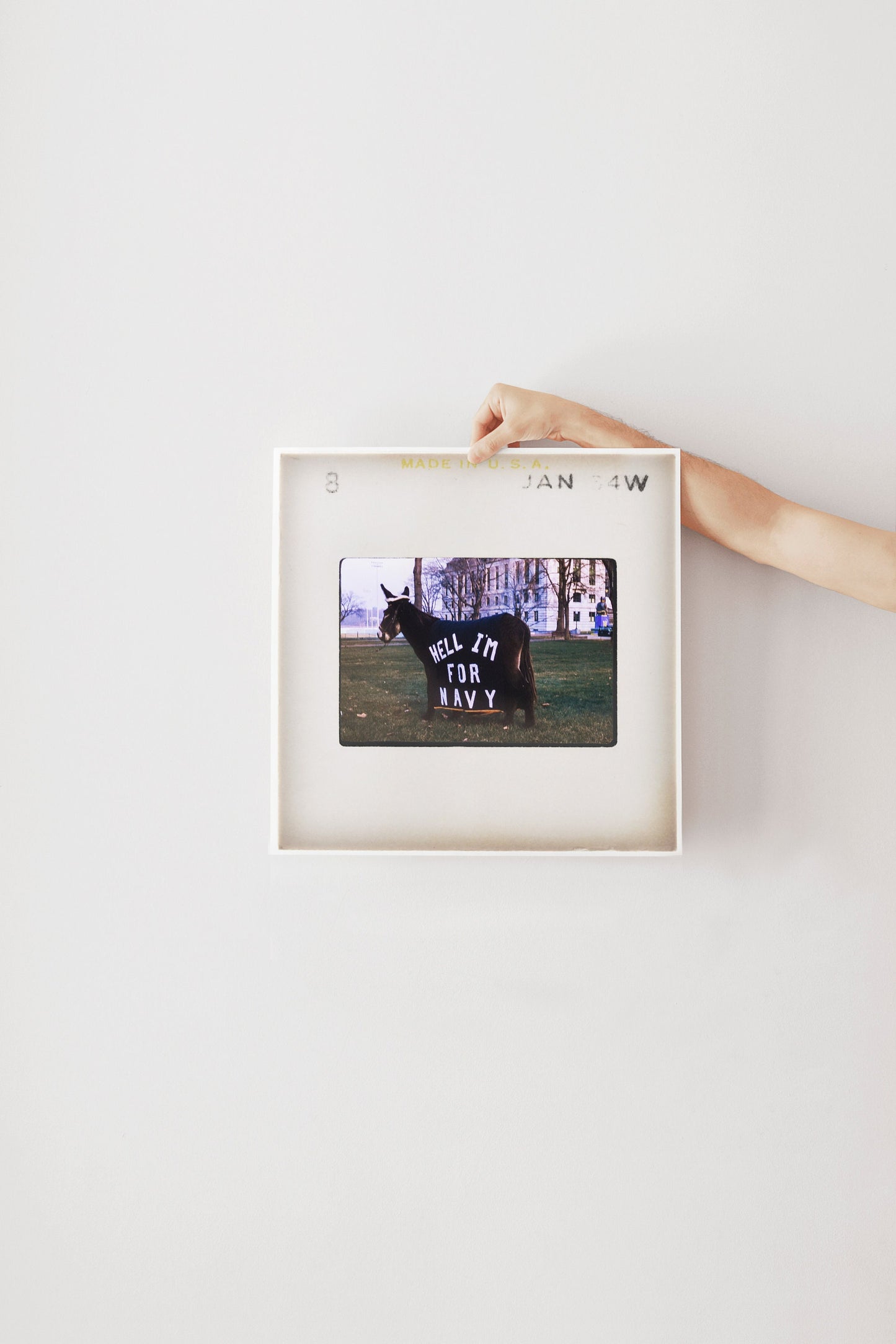 Army Navy Spirit Naval Academy Art Print, Navy Football Print, Vintage Military, Vintage Sports Memorabilia, Film