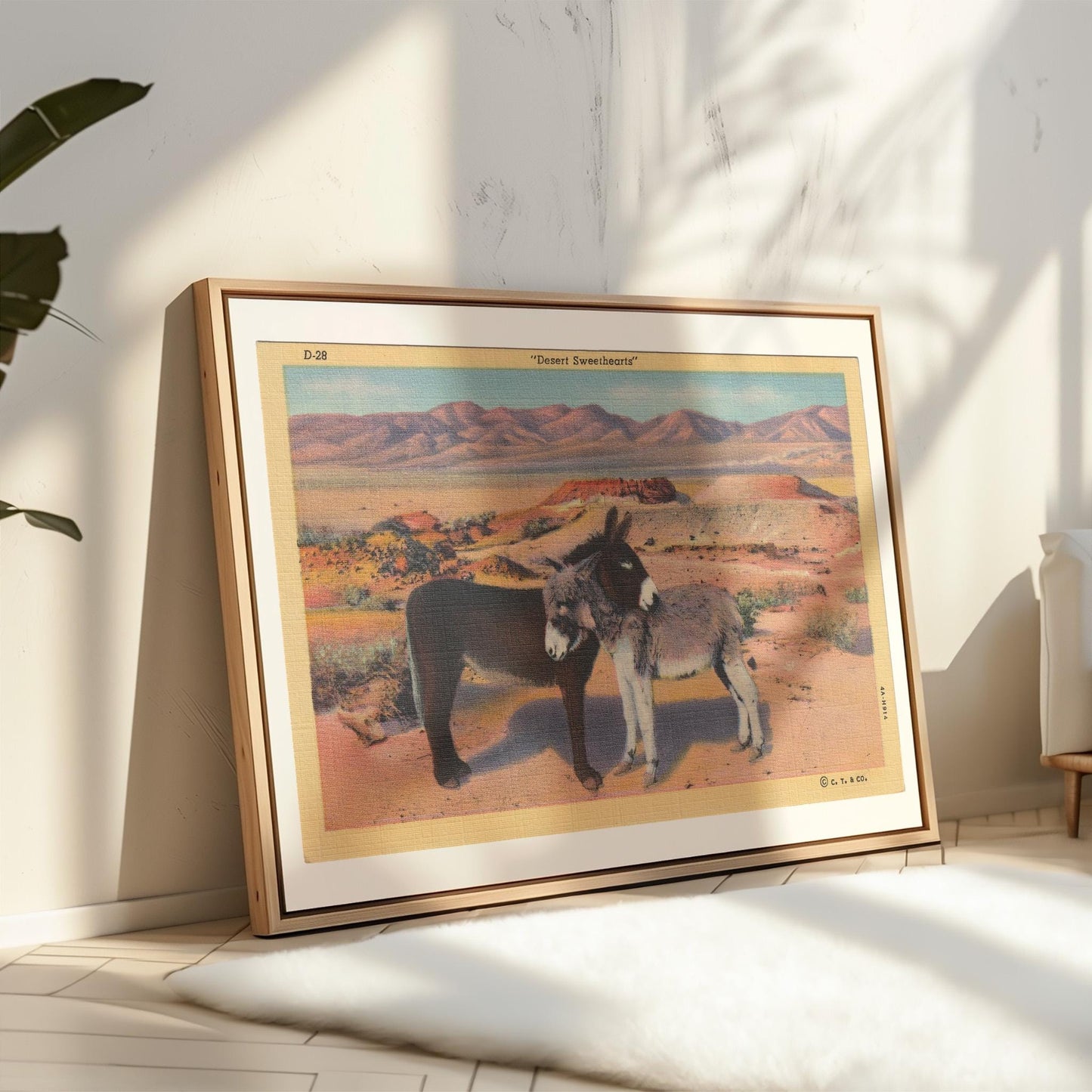 Donkeys in the Desert Landscape Vintage Postcard : Canvas Print