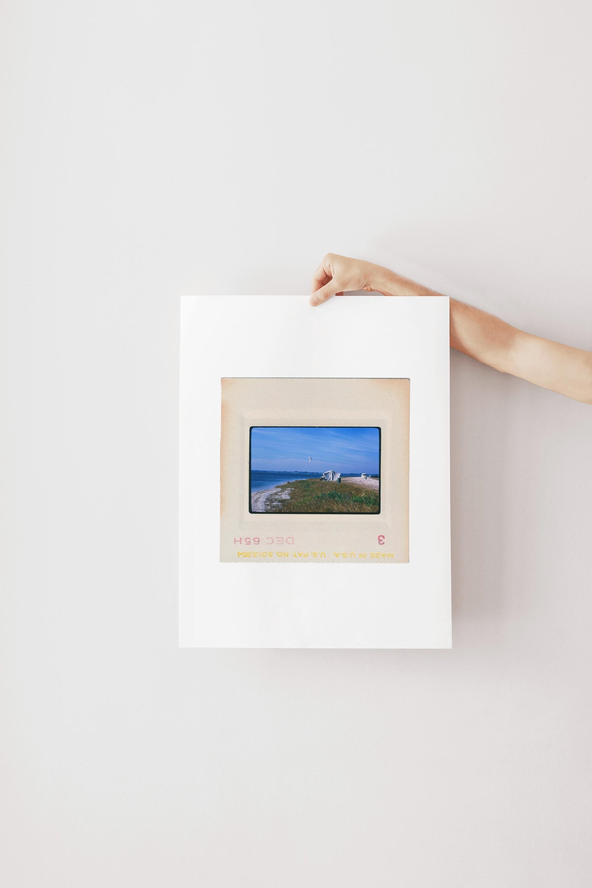 Vintage 1965 Kodachrome slide photograph of a canvas tent pitched on a grassy coastal dune in California, with a camper vehicle in the background, calm blue water, and a single seagull in flight overhead. Printed as a giclée fine art print on archival matte paper.