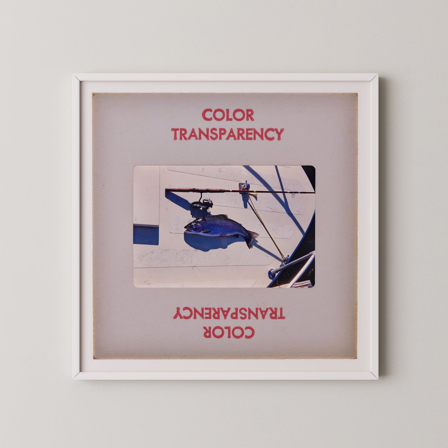 The image is a framed photograph of a blue object, possibly a fish or a bird, hanging from a wire. The photograph is framed in a white border and is displayed on a wall.