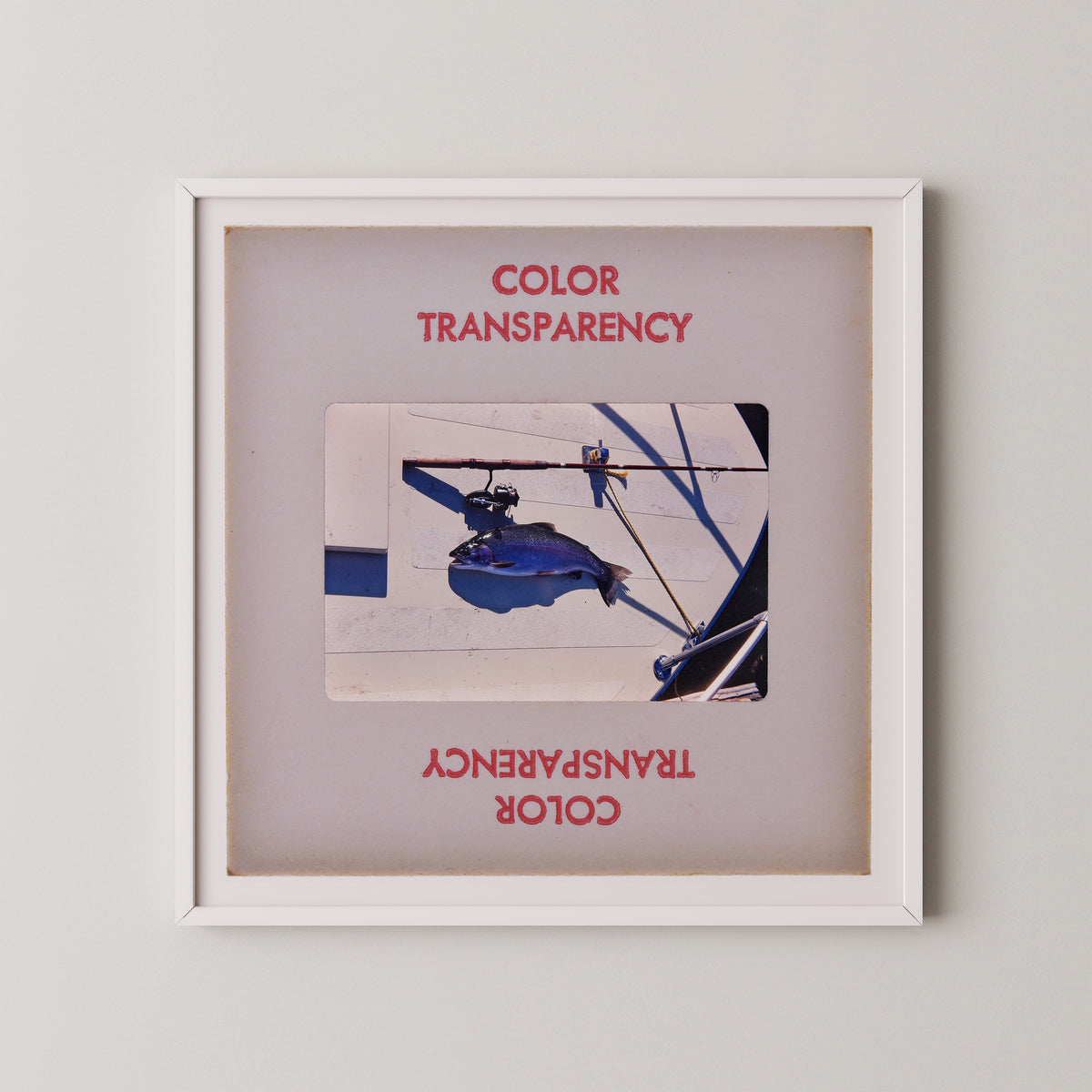 The image is a framed photograph of a blue object, possibly a fish or a bird, hanging from a wire. The photograph is framed in a white border and is displayed on a wall.