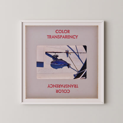 The image is a framed photograph of a blue object, possibly a fish or a bird, hanging from a wire. The photograph is framed in a white border and is displayed on a wall.