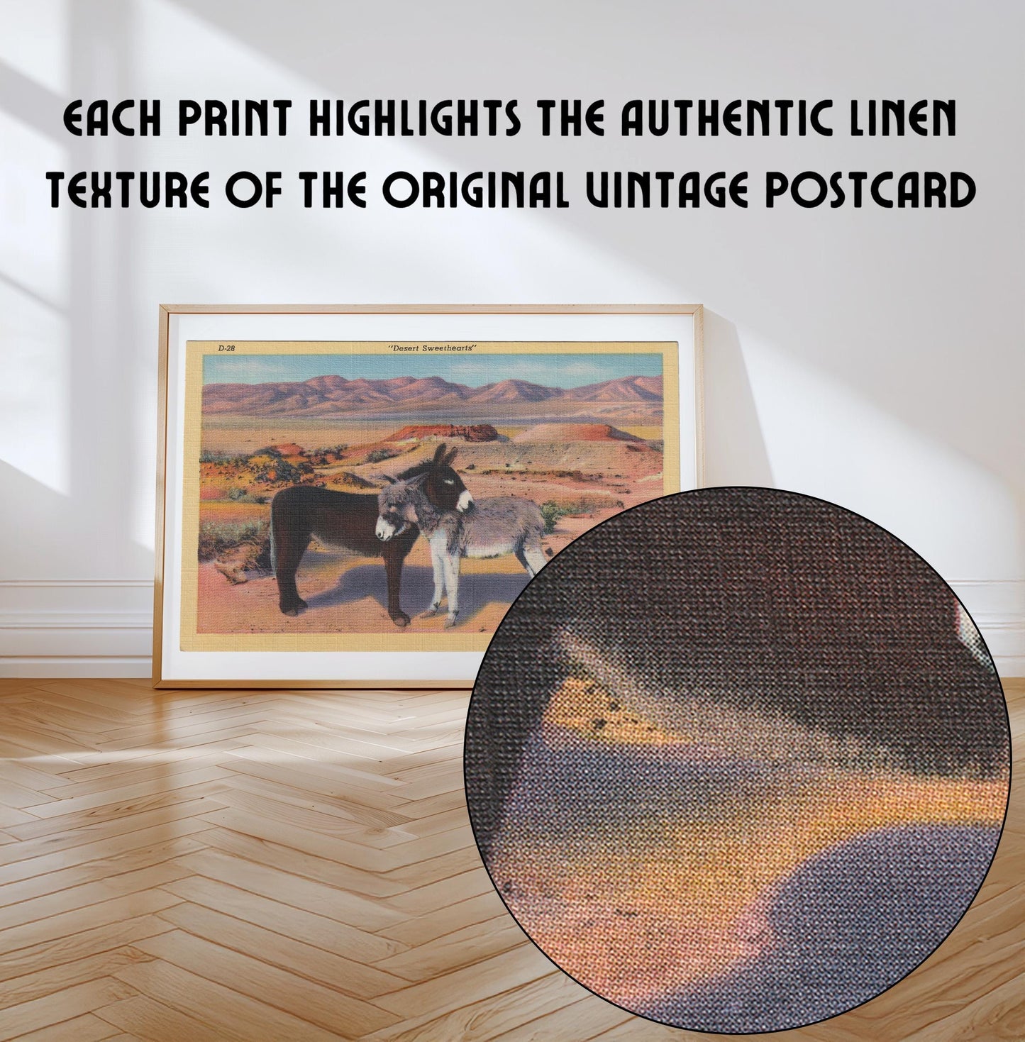 Donkeys in the Desert Landscape Vintage Postcard : Canvas Print