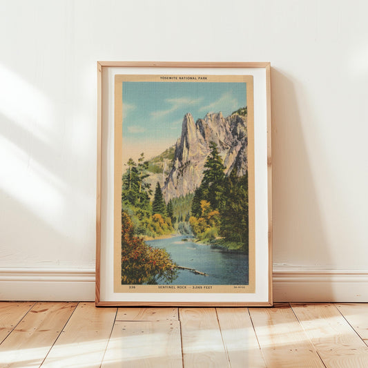 Yosemite National Park Landscape Sentinel Rock Vintage Postcard :Canvas Print