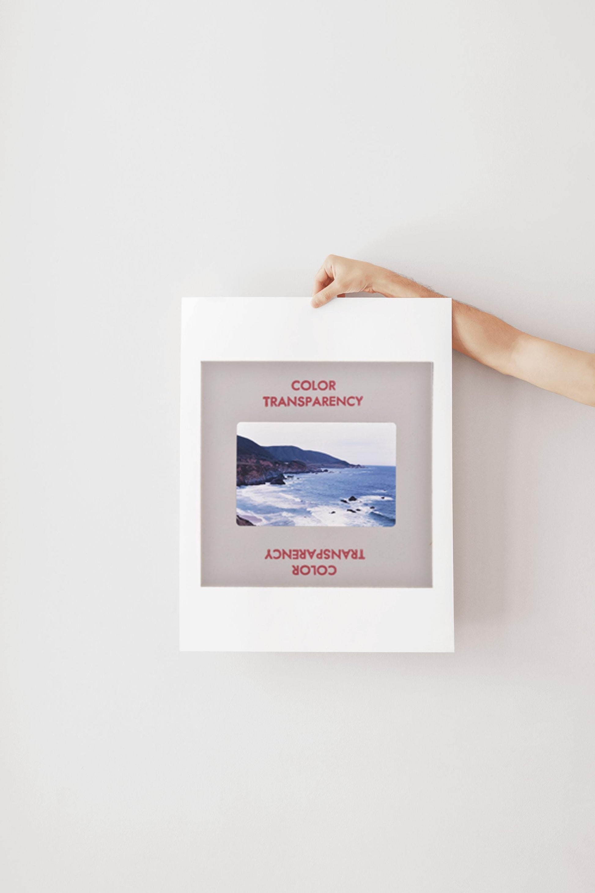 A person's hand is holding a framed photograph of a coastal landscape, with the text "COLOR TRANSPARENCY" and "COLOR" visible on the frame.