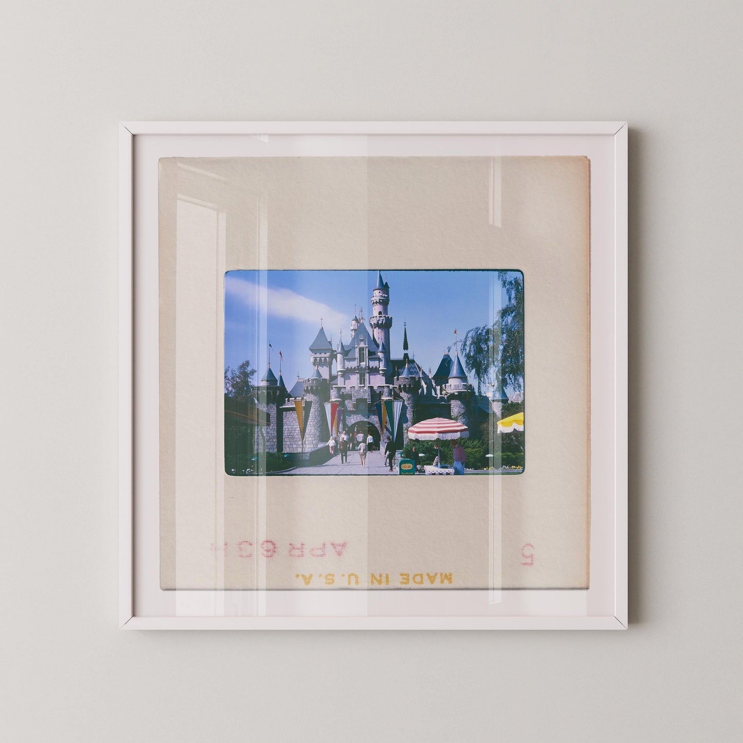 Sleeping Beauty's Cast at Disneyland : Fine Art Print of an Authentic 35mm Film Slide