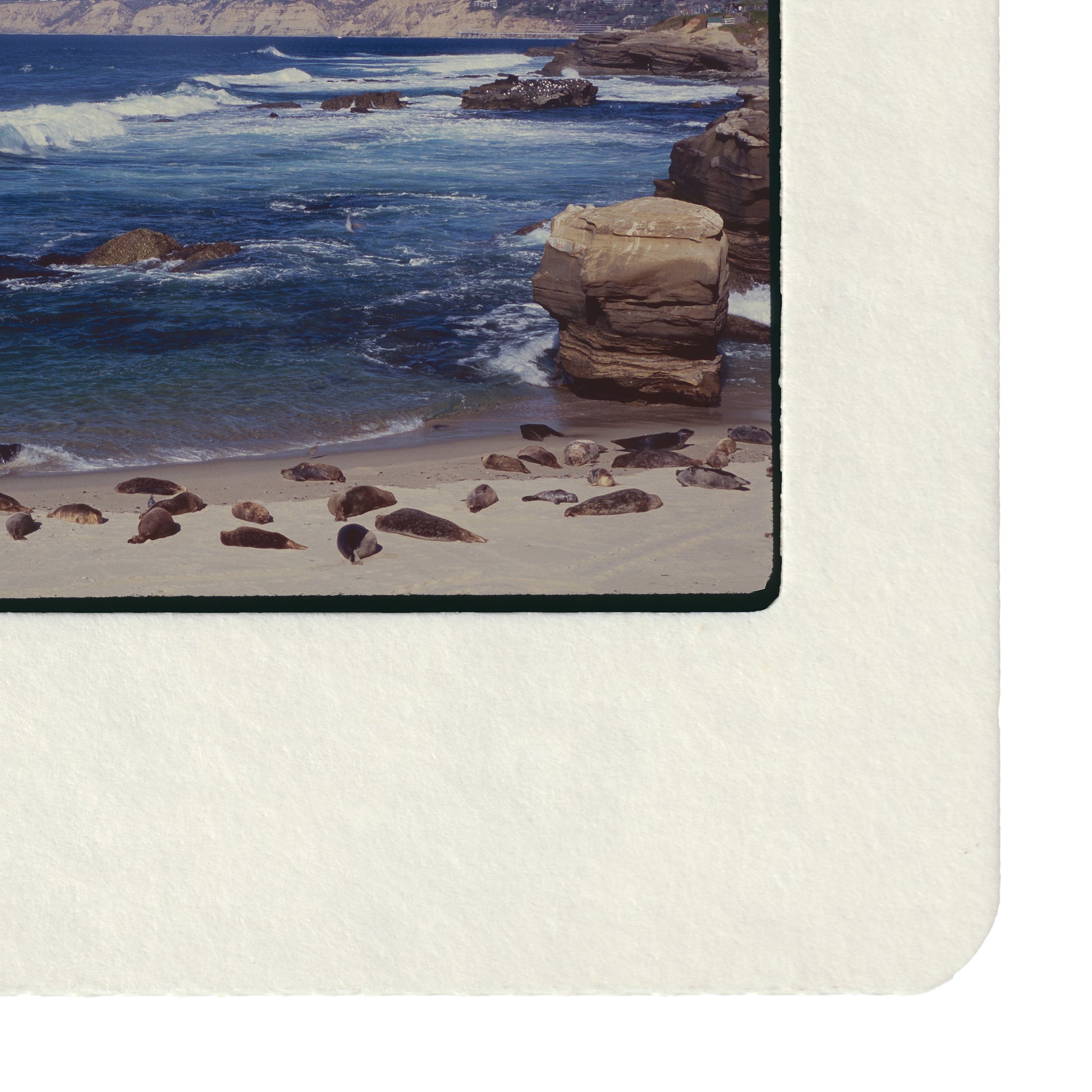 Vintage color slide photograph of dozens of harbor seals resting on a sandy California beach, with dramatic sandstone rock formations, rolling Pacific surf, and coastal bluffs visible in the background, likely La Jolla, San Diego County. Printed as a giclée fine art print on archival matte paper.