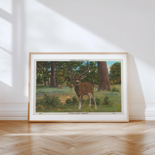 Deer in the Woods Vintage Postcard : Canvas Print