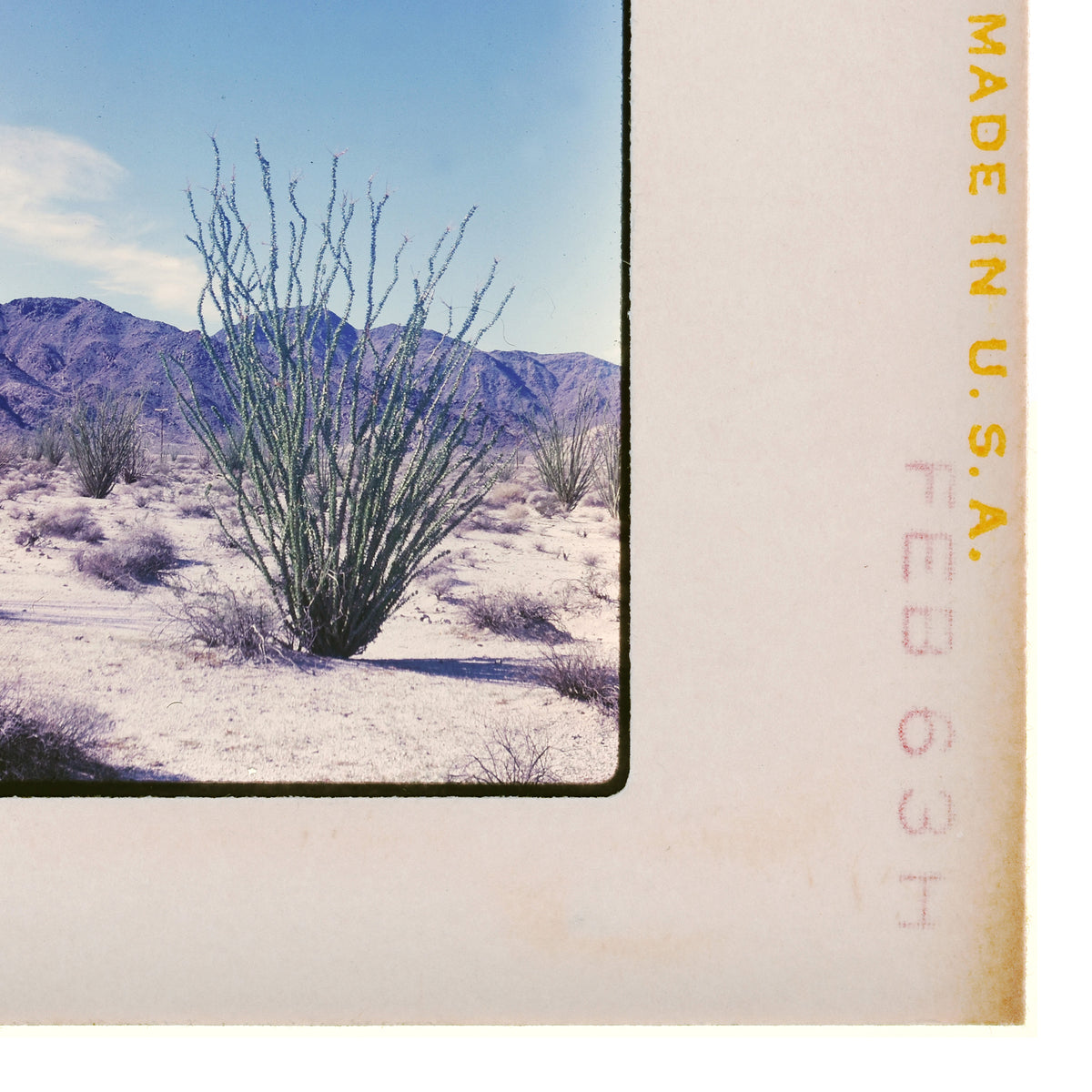 a desert landscape with a tall, thin plant in the foreground and mountains in the background.