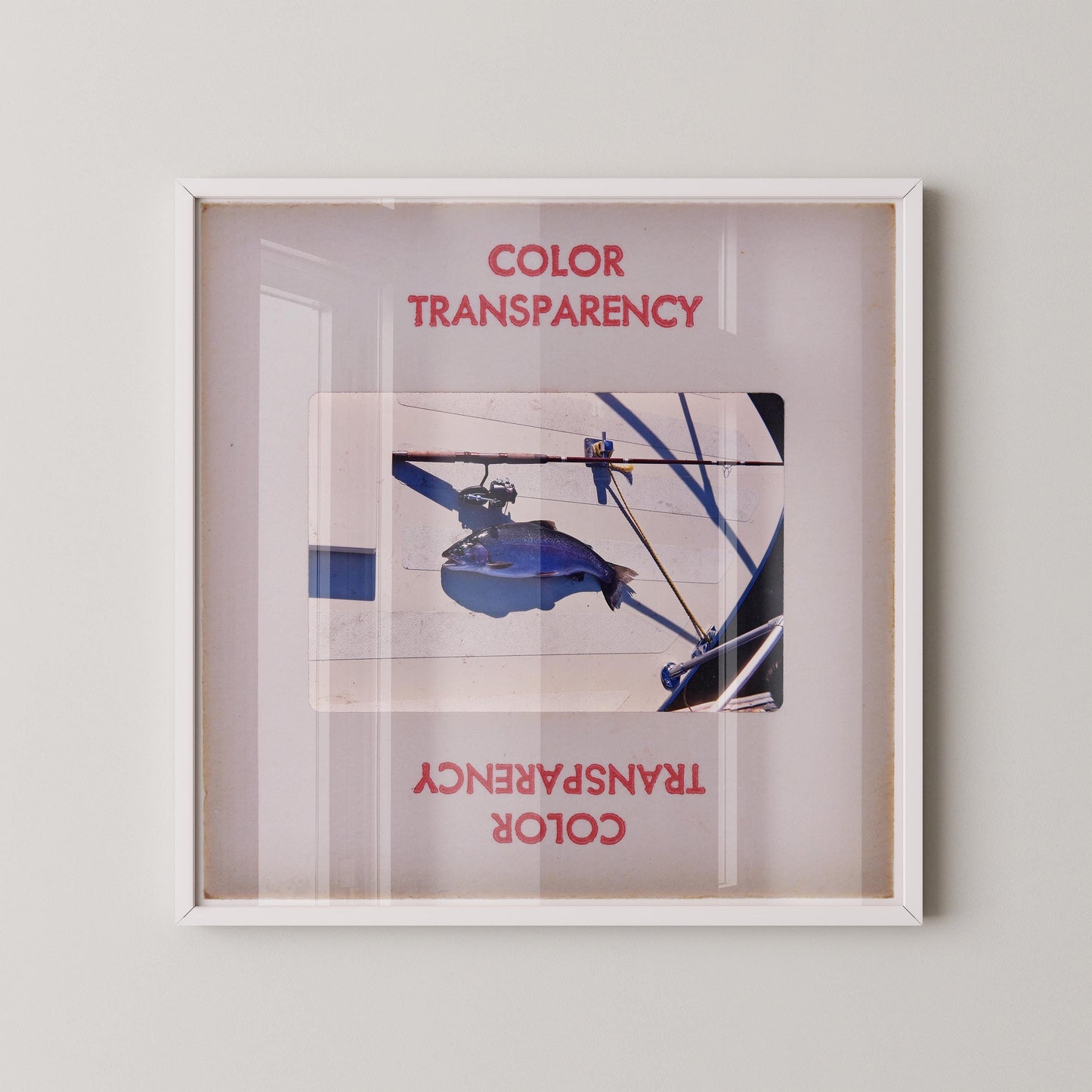 Fish on Deck Vintage Fishing Photography : Fine Art Print of an Authentic 35mm Film Slide