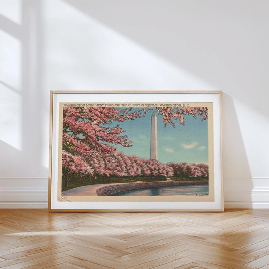 Washington Monument in Cherry Blossoms Vintage Horizontal Landscape Postcard: Canvas Print