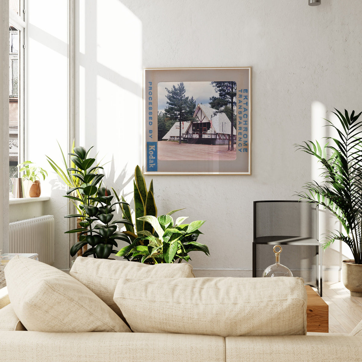 a cozy living room with a large window, a comfortable sofa, and a framed picture of a building with a tree in the background.