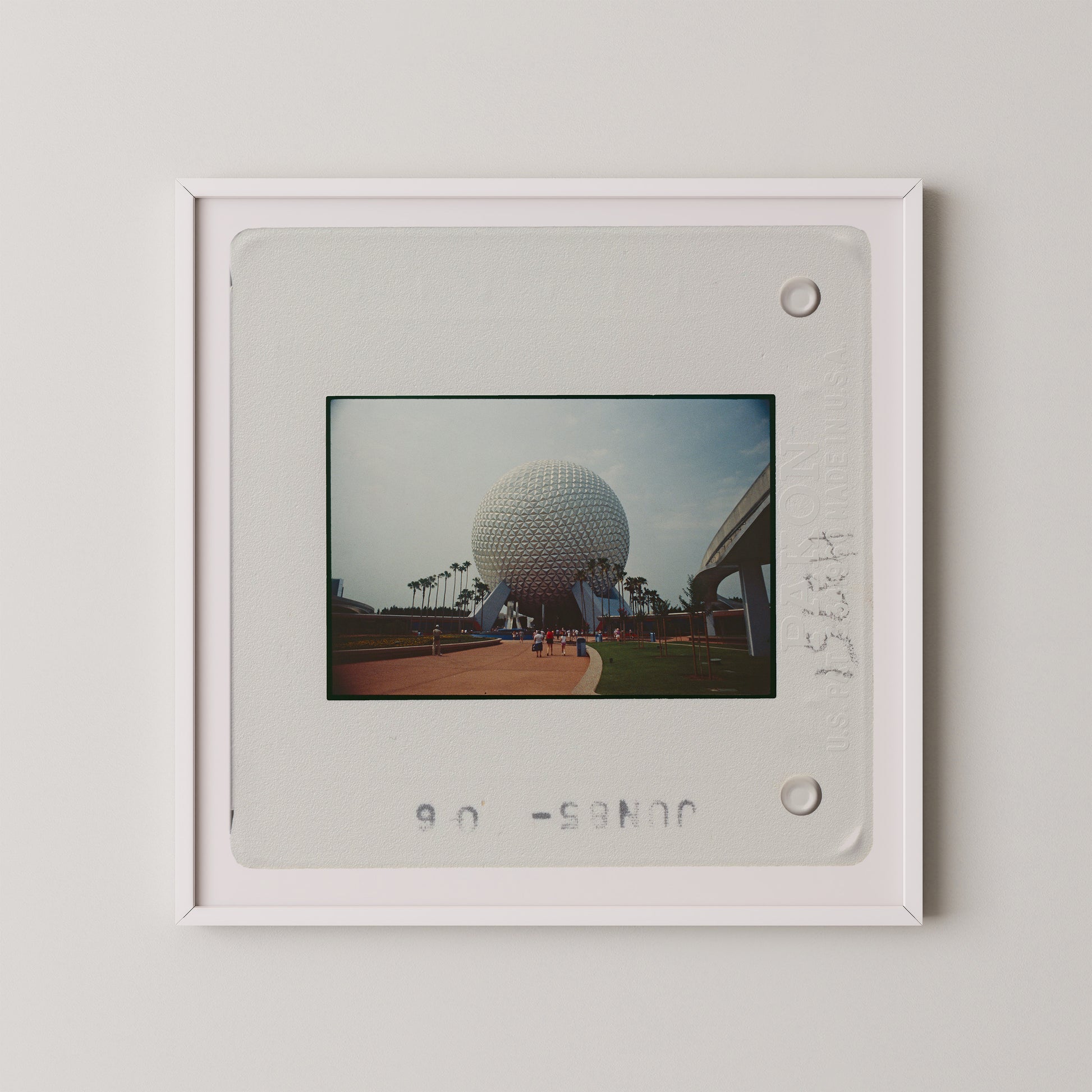 A framed photograph of the iconic Space Needle in the distance, with palm trees and a building visible in the background.