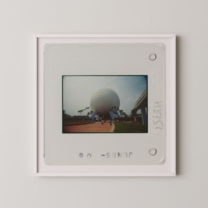 A framed photograph of the iconic Space Needle in the distance, with palm trees and a building visible in the background.