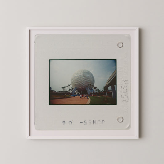 A framed photograph of the iconic Space Needle in the distance, with palm trees and a building visible in the background.