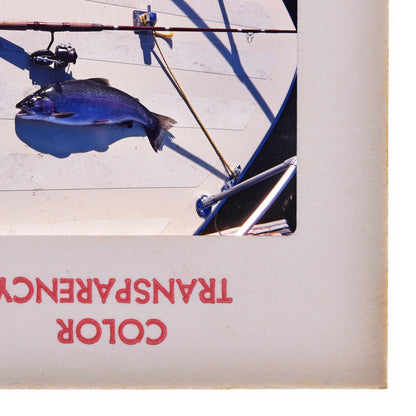 A photograph of a fish on a boat, with a fishing rod and reel visible in the background.