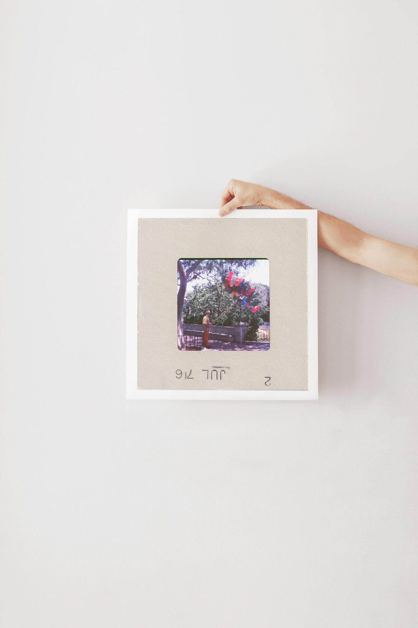 A hand is holding a framed photograph of a tree with red flowers against a white background.