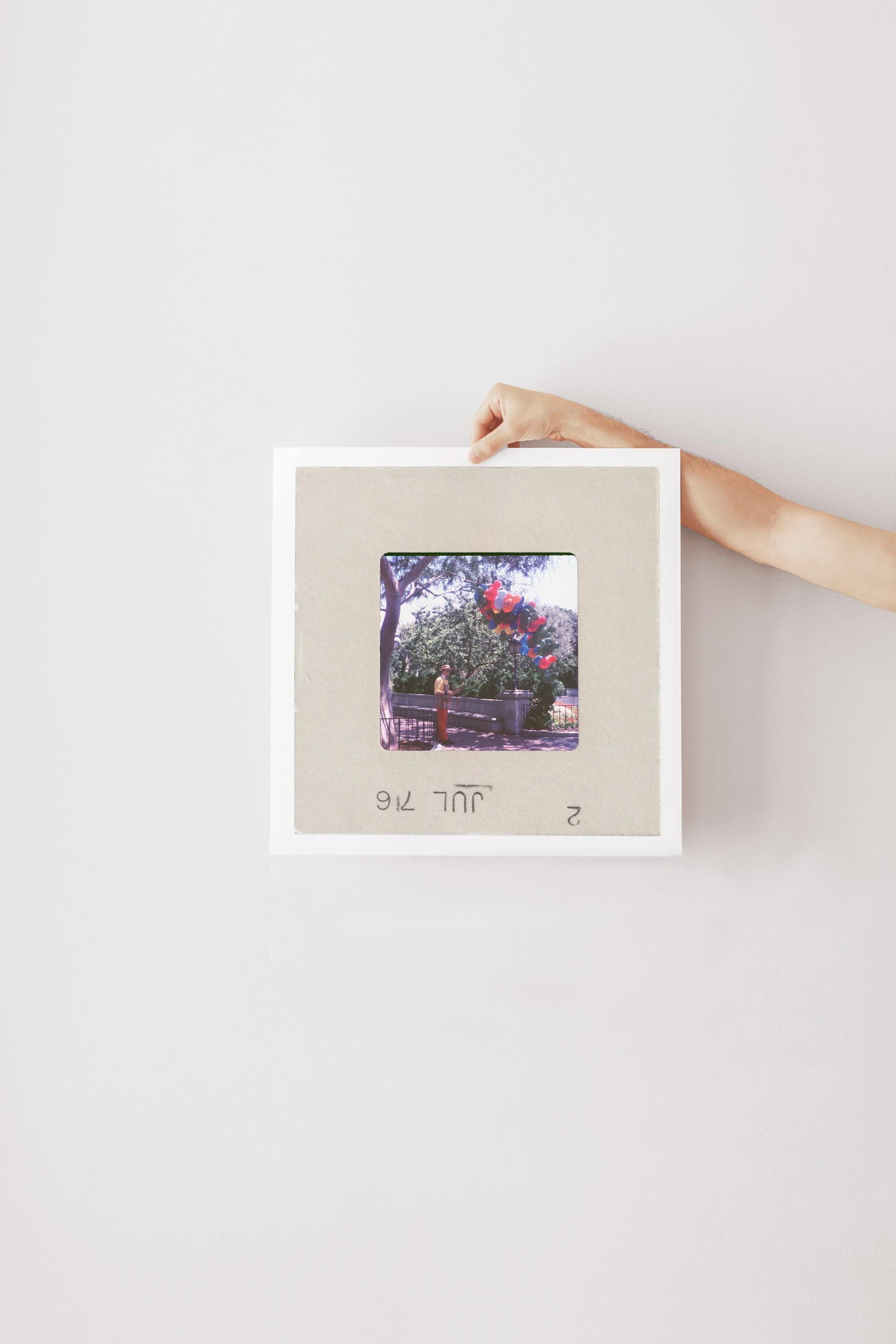 A hand is holding a framed photograph of a tree with red flowers against a white background.