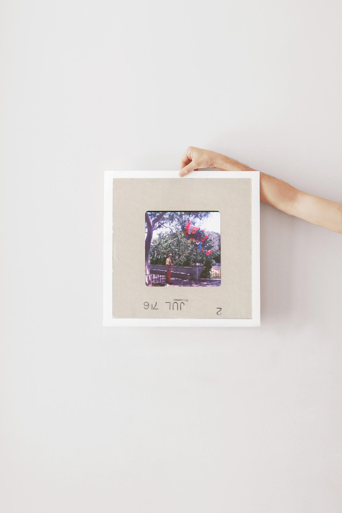 A hand is holding a framed photograph of a tree with red flowers against a white background.