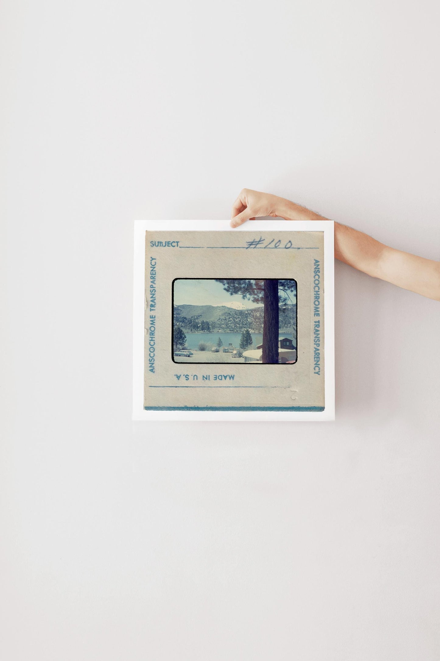 Vintage Anscochrome slide photograph of a mountain lake campground community, showing pine-forested hills, a snow-capped peak, classic cars parked along the shoreline, and lakeside cabins, viewed from beneath a tall pine tree. Printed as a giclée fine art print on archival matte paper.