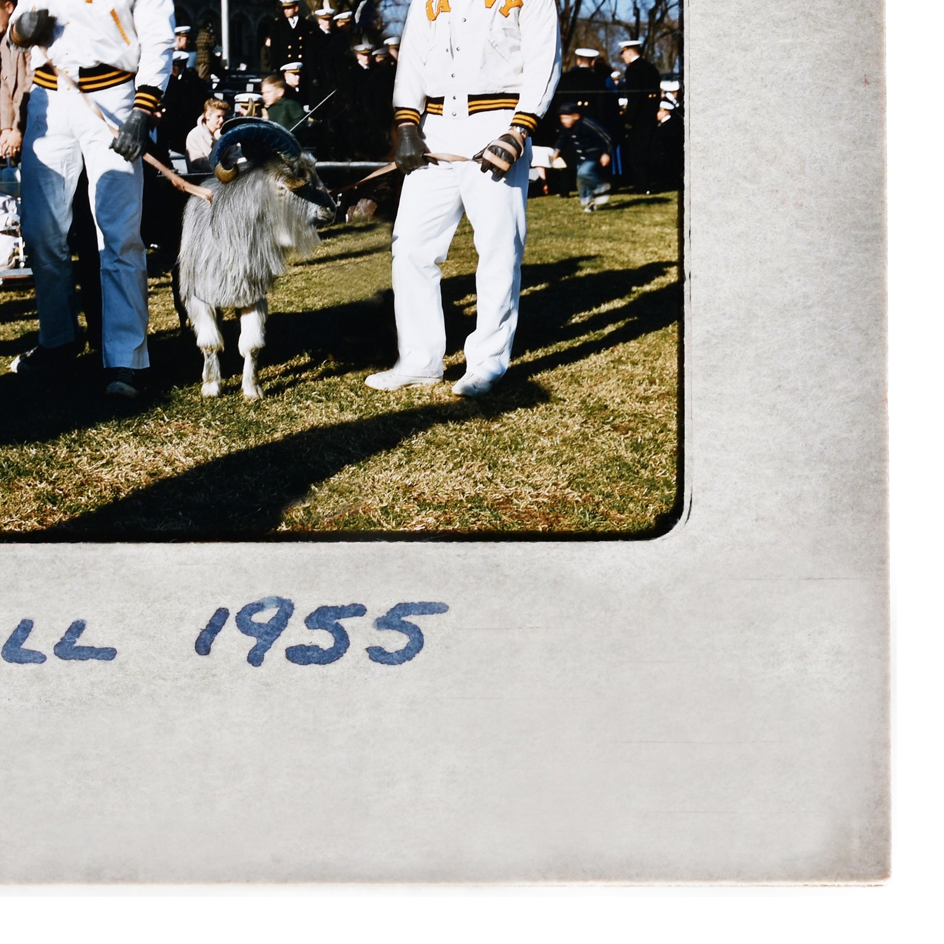 A group of people, including a person in a white uniform and a dog, are standing on a grassy field.