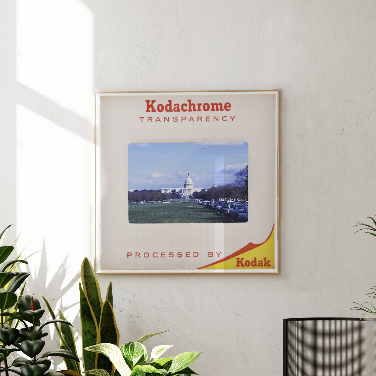 US Capitol Building Washington D.C. : Fine Art Print of an Authentic 35mm Film Slide