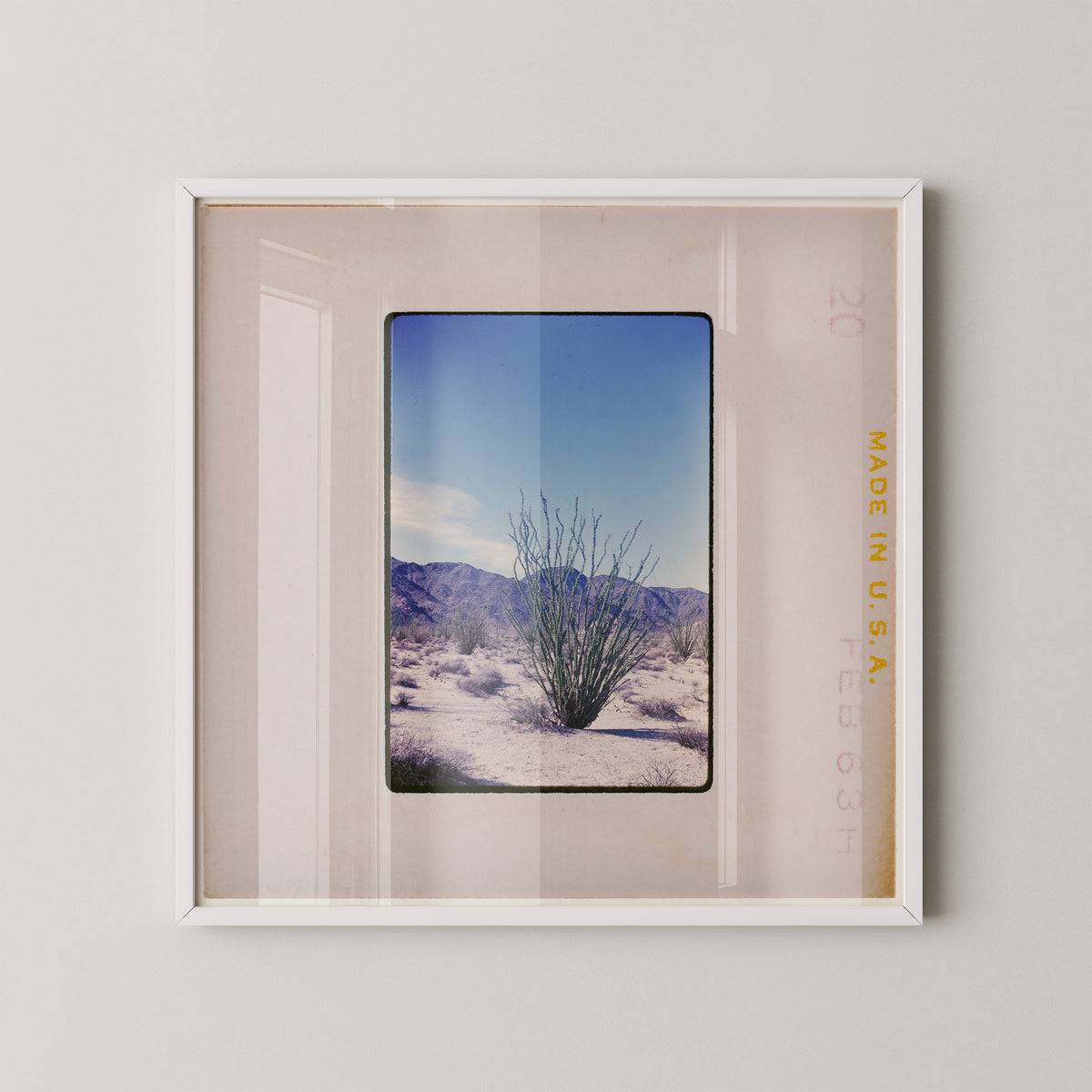a desert landscape with a small shrub in the foreground.