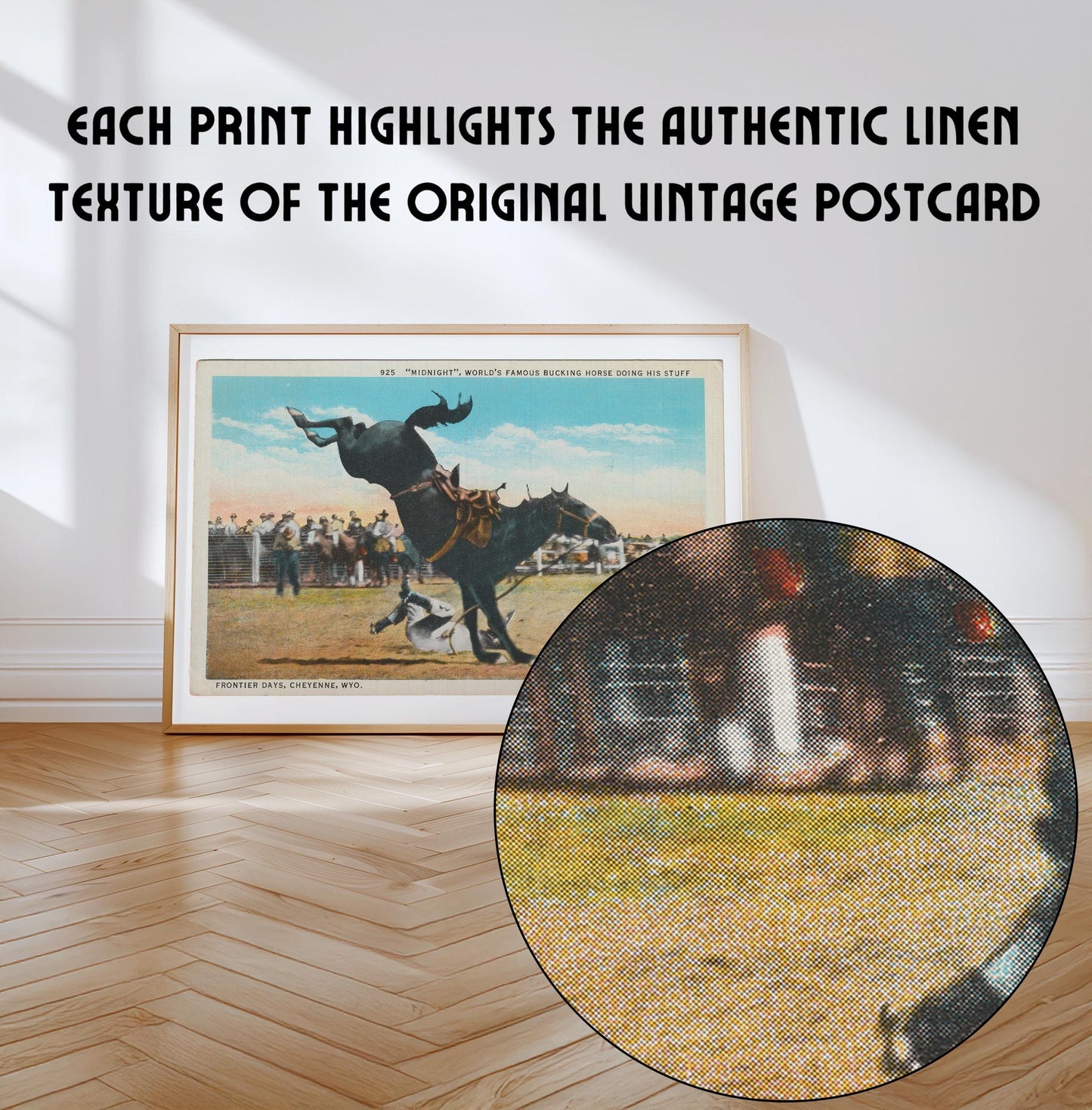 Bucking Bronco Vintage Illustrated Horse Postcard : Canvas Print