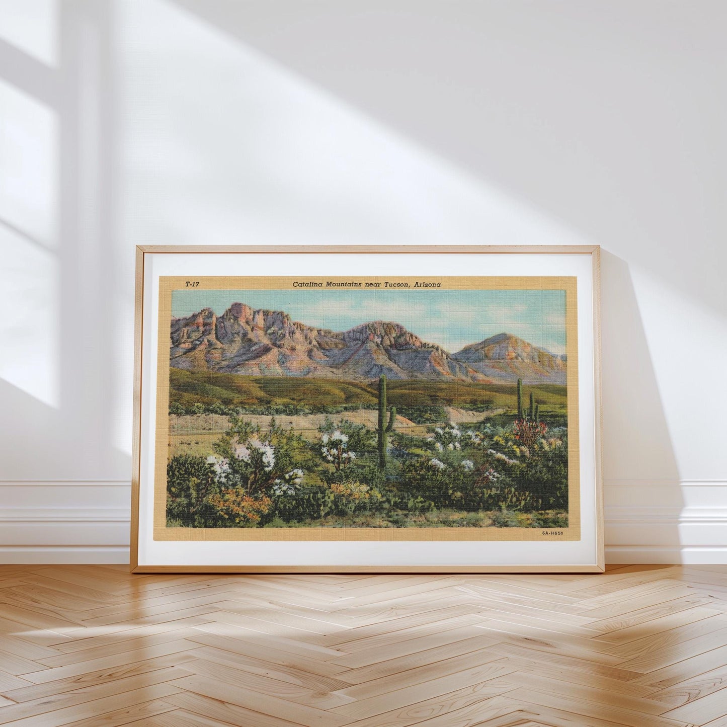 Desert Mountains Vintage Postcard : Canvas Print