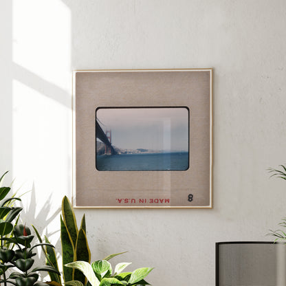 a framed photograph of the Golden Gate Bridge hanging on a wall, with a potted plant to the left and a plant to the right.