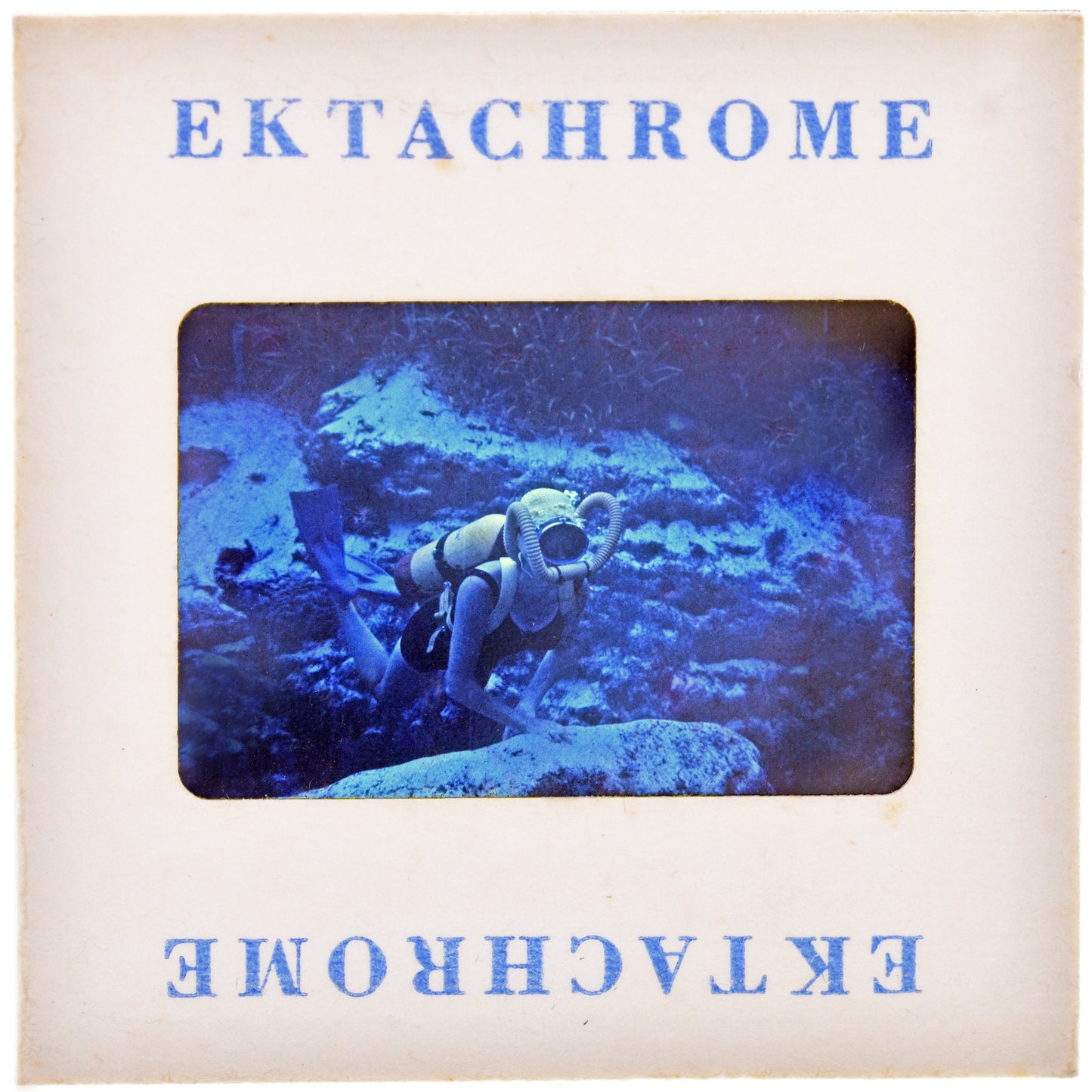 Scuba Diving : Fine Art Print of an Authentic 35mm Film Slide