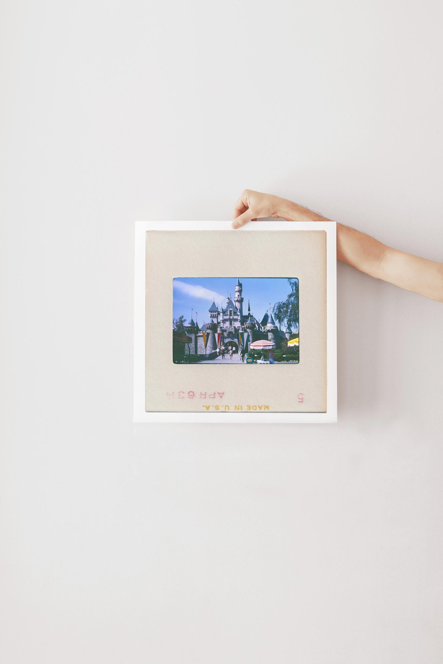 Sleeping Beauty's Cast at Disneyland : Fine Art Print of an Authentic 35mm Film Slide