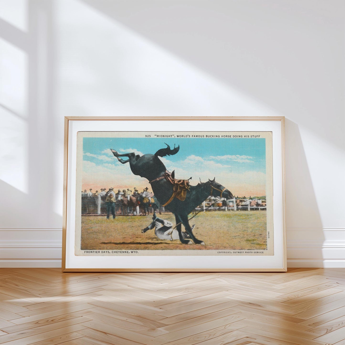 Bucking Bronco Vintage Illustrated Horse Postcard : Canvas Print