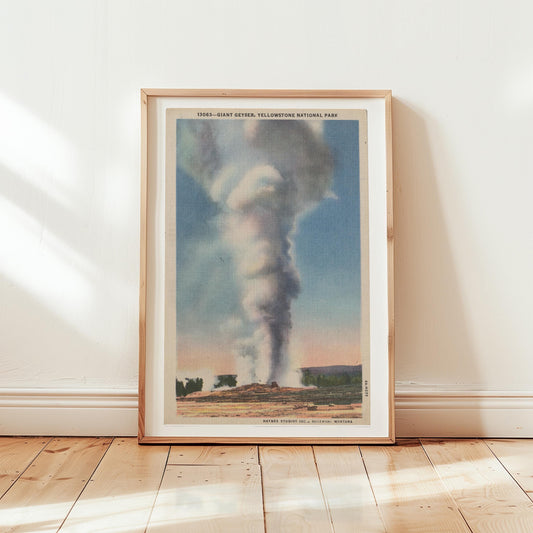 Old Faithful Geyser Yellowstone National Park Landscape Vintage Postcard: Canvas Print