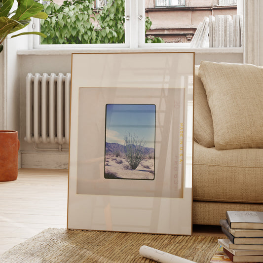 a framed photograph of a desert landscape, placed on a rug in a living room setting.