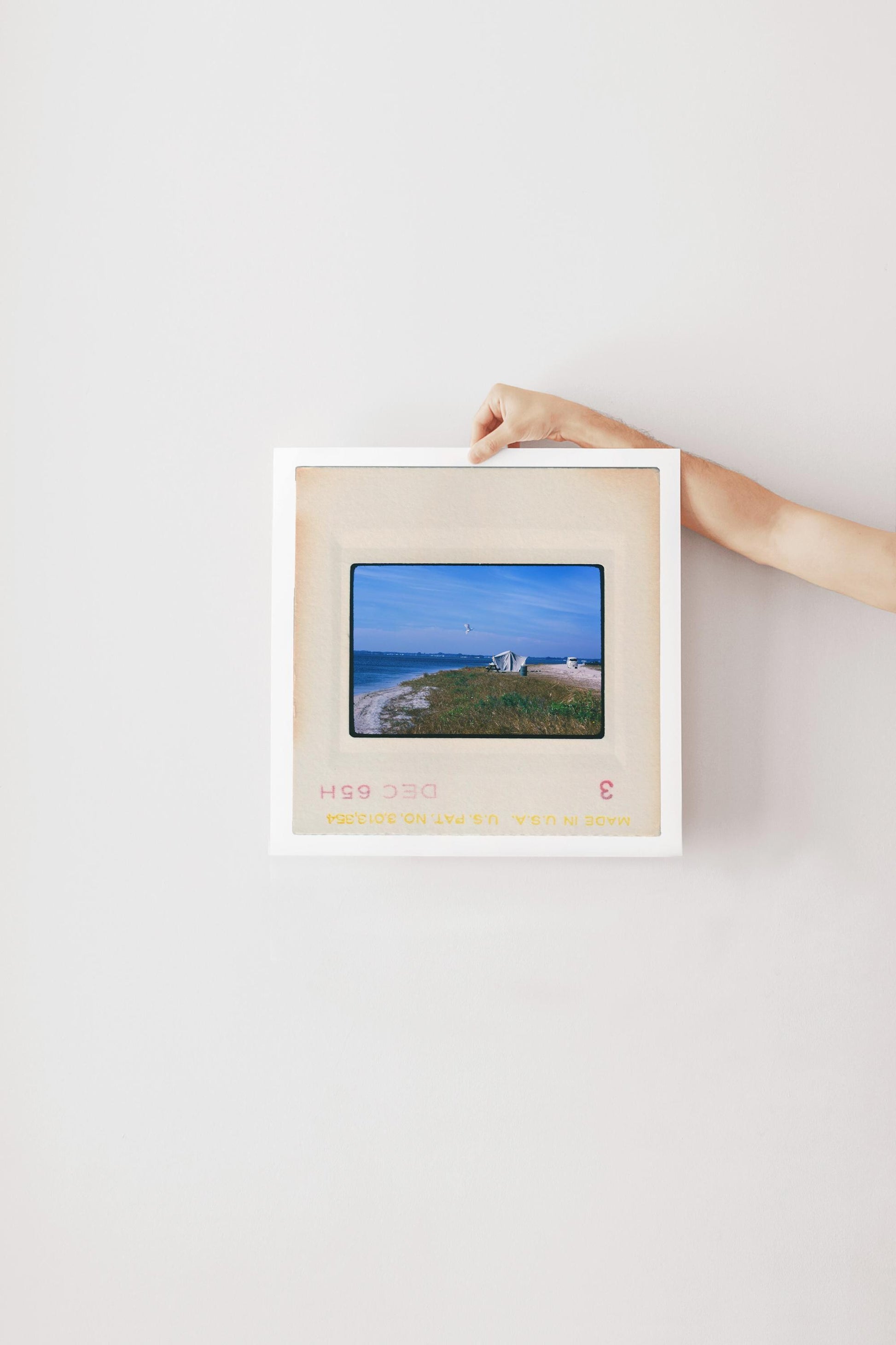 Vintage 1965 Kodachrome slide photograph of a canvas tent pitched on a grassy coastal dune in California, with a camper vehicle in the background, calm blue water, and a single seagull in flight overhead. Printed as a giclée fine art print on archival matte paper.
